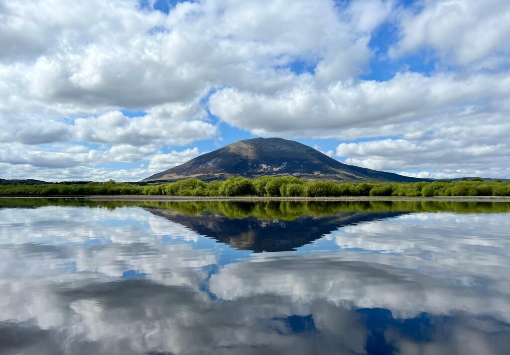 Mark McAllister's Nephin image